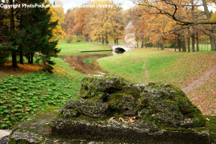 Ditch, Canal, Outdoors, River, Water, Park, Moss