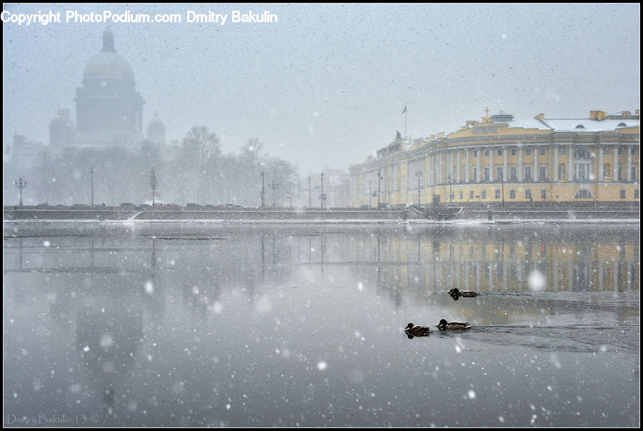 Parliament, Fog, Mist, Outdoors, Building, Landscape, Nature