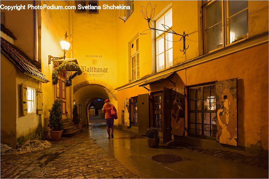 Plant, Potted Plant, Pot, Pottery, Alley, Alleyway, Road