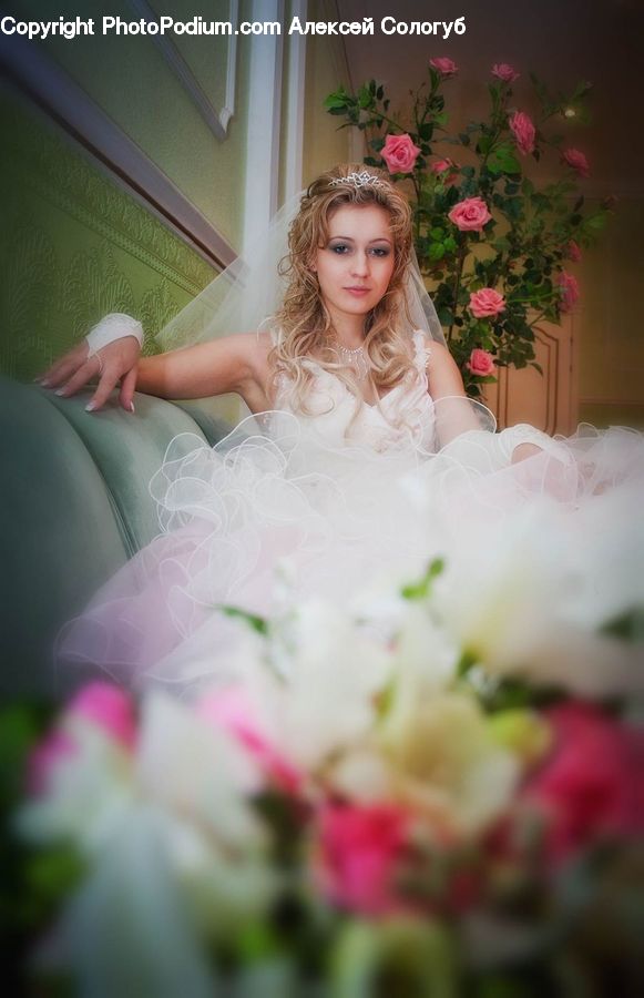 Plant, Potted Plant, People, Person, Human, Bridesmaid, Gown