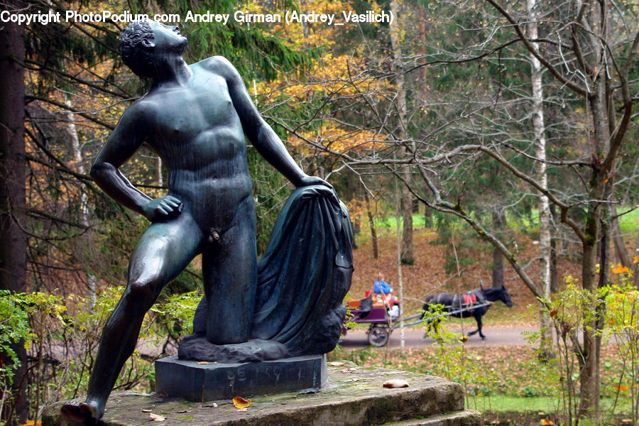 Forest, Vegetation, Plant, Tree, Art, Sculpture, Statue