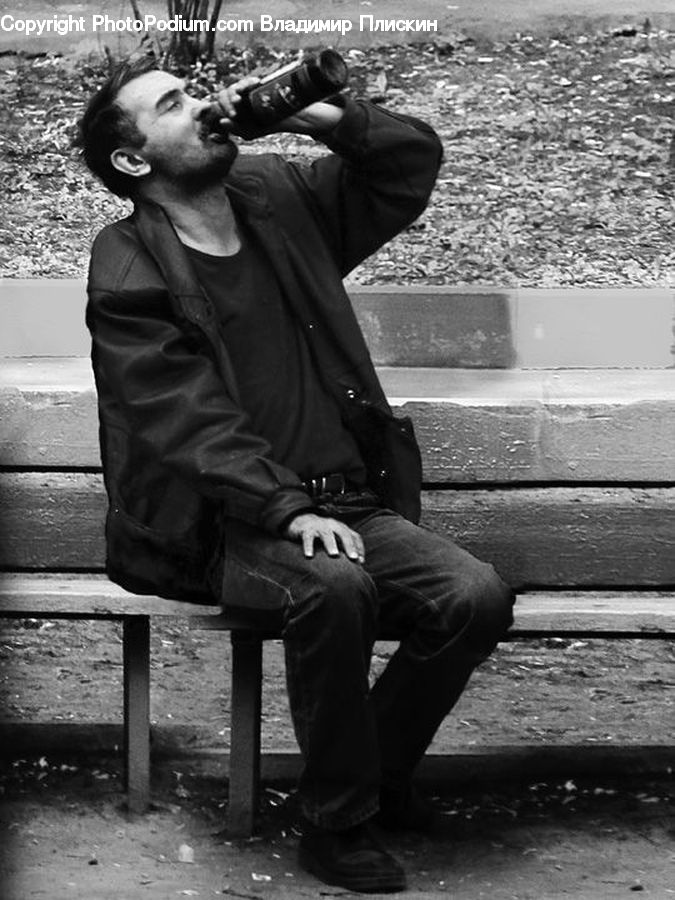 People, Person, Human, Photographer, Bench, Portrait, Selfie