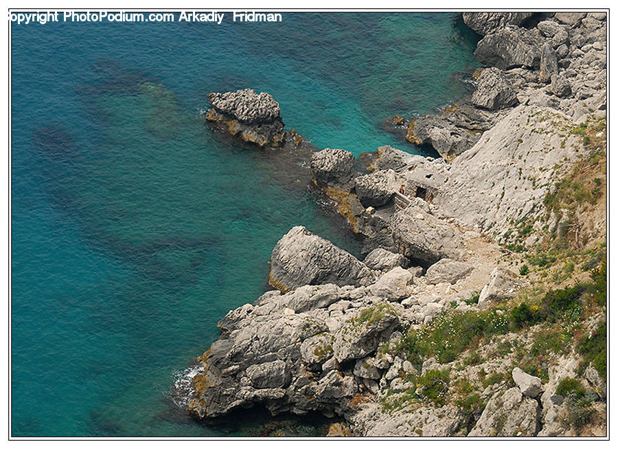 Coast, Outdoors, Sea, Water, Coral Reef, Reef, Sea Life