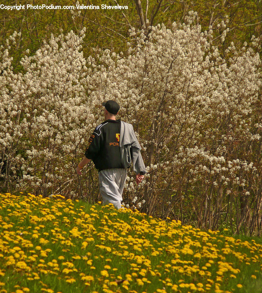 Human, People, Person, Blossom, Flora, Flower, Plant