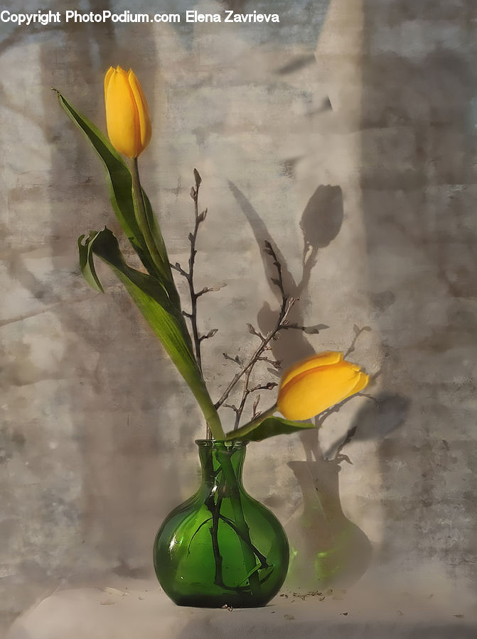 Floral Design, Flower, Flower Arrangement, Flower Bouquet, Ikebana, Plant, Potted Plant