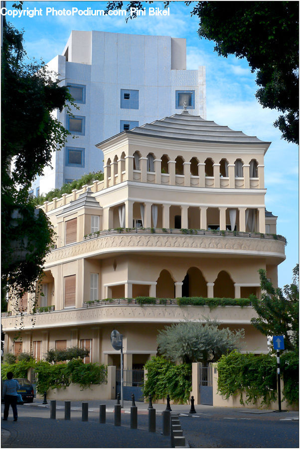 Plant, Potted Plant, Bonsai, Tree, Building, Housing, Villa