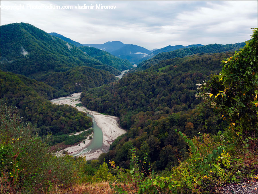 Mountain, Outdoors, Valley, Bush, Plant, Vegetation, Wilderness