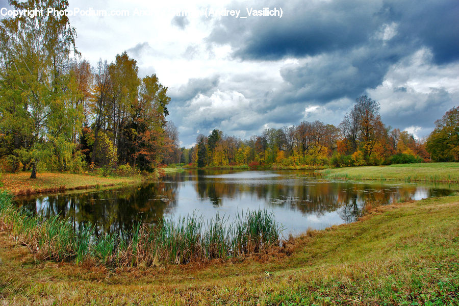 Outdoors, Pond, Water, Field, Grass, Grassland, Plant