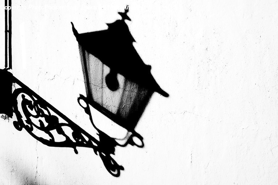 Bird, Blackbird, Crow, Flying