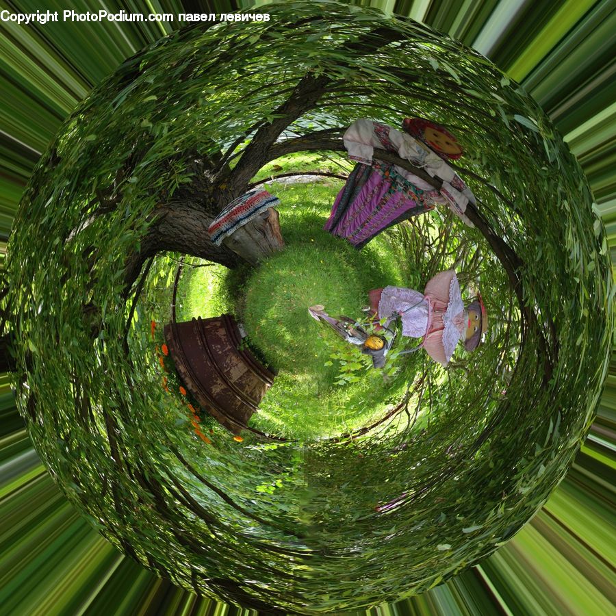 Pinata, Footwear, Shoe, Fern, Plant, Blossom, Flora