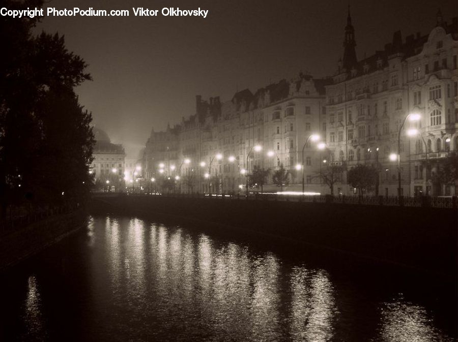 Plant, Potted Plant, Night, Outdoors, City, Downtown, Canal