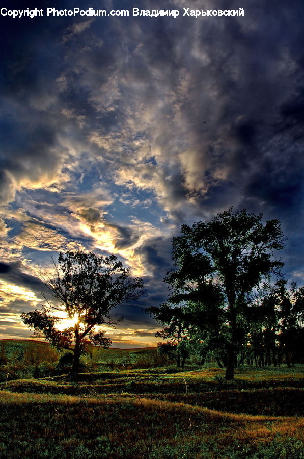 Dawn, Dusk, Red Sky, Sky, Sunrise, Sunset, Azure Sky