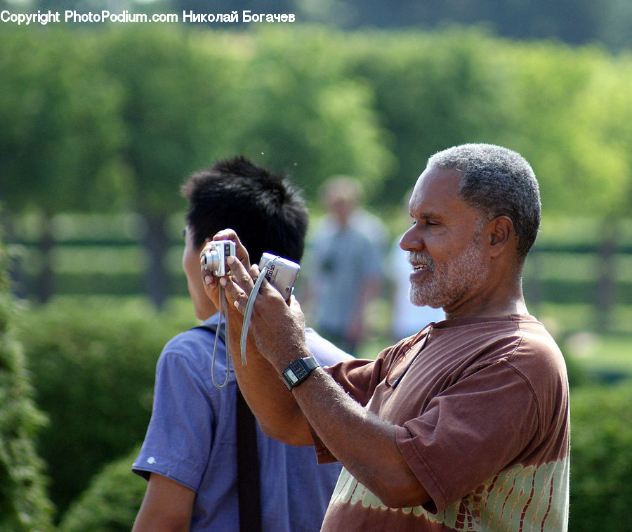 Human, People, Person, Afro Hairstyle, Hair, Comb, Leisure Activities