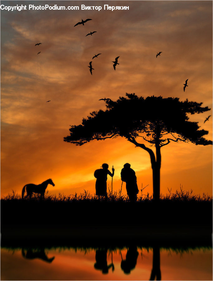 Dawn, Dusk, Red Sky, Sky, Sunrise, Sunset, Landscape