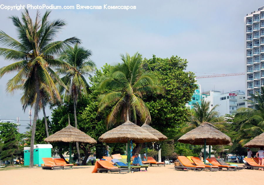 Beach, Coast, Outdoors, Sea, Water, Hotel, Resort