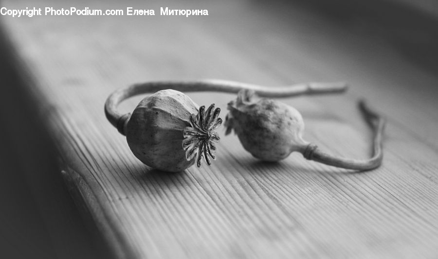 Garlic, Plant, Produce, Vegetable, Squash, Turnip