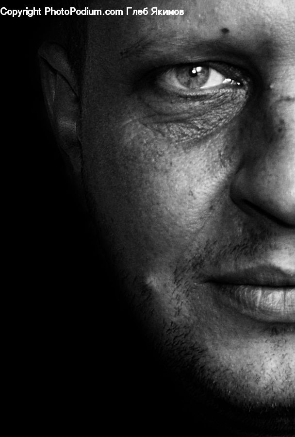 Person, Portrait, Face, Freckle, Skin, Head