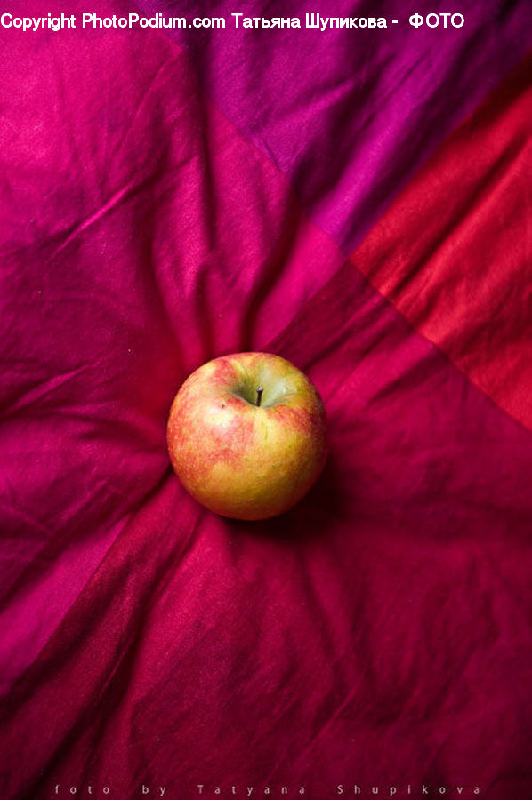 Apple, Fruit, Blossom, Flora, Flower, Geranium, Plant