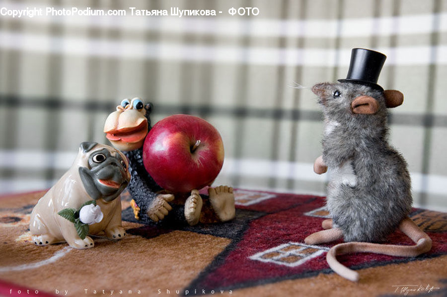 Cup, Animal, Mammal, Rat, Rodent, Ornament, Bowl
