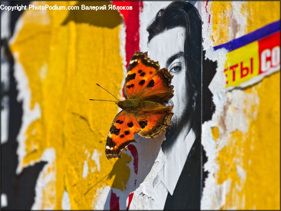 Butterfly, Insect, Invertebrate, Lifejacket, Vest, Collage, Poster