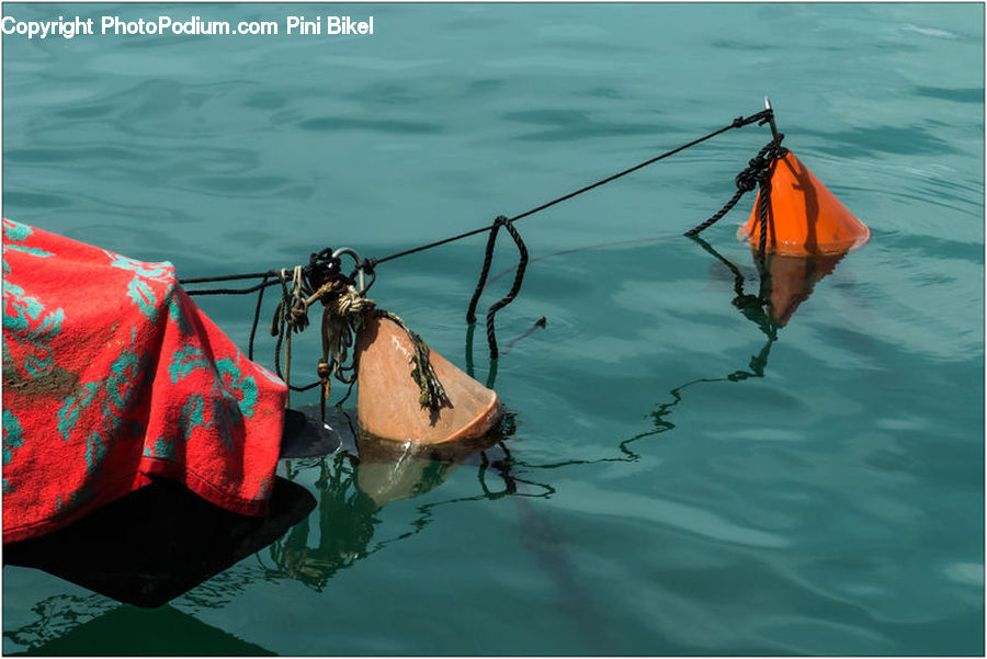 Food, Lobster, Sea Life, Seafood, Boat, Canoe, Kayak