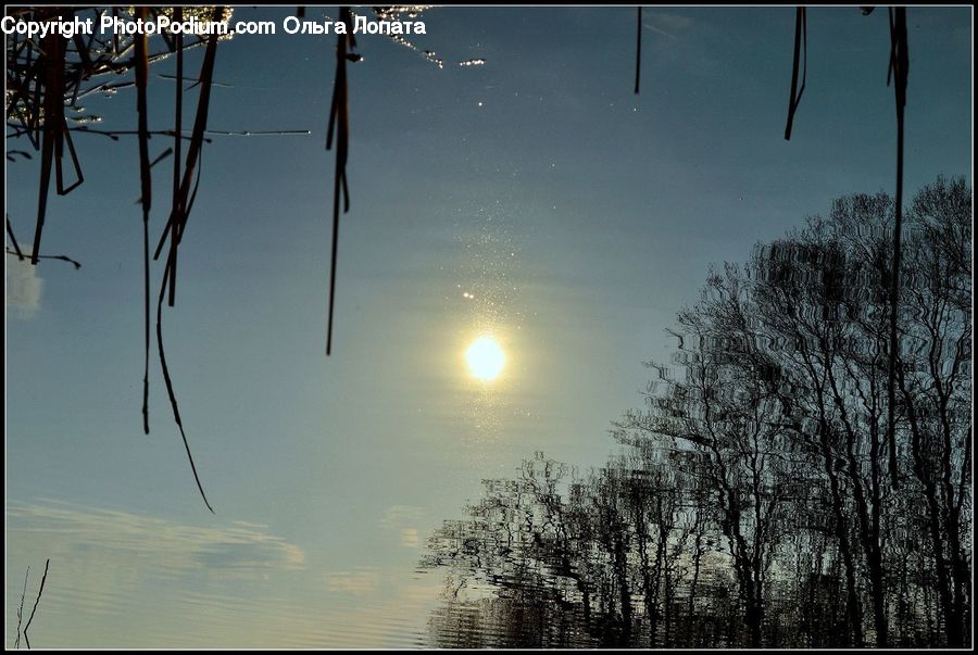 Astronomy, Full Moon, Night