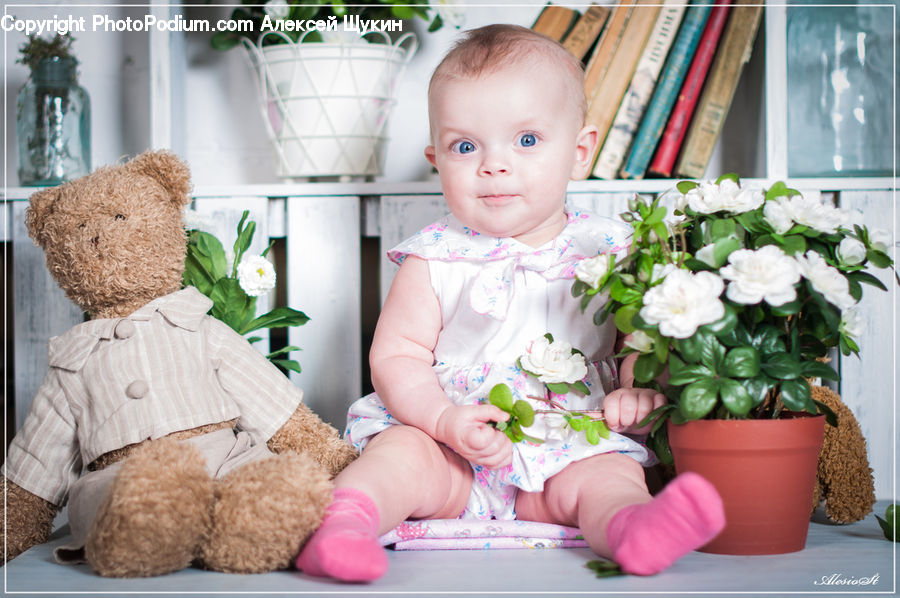People, Person, Human, Plant, Potted Plant, Teddy Bear, Toy