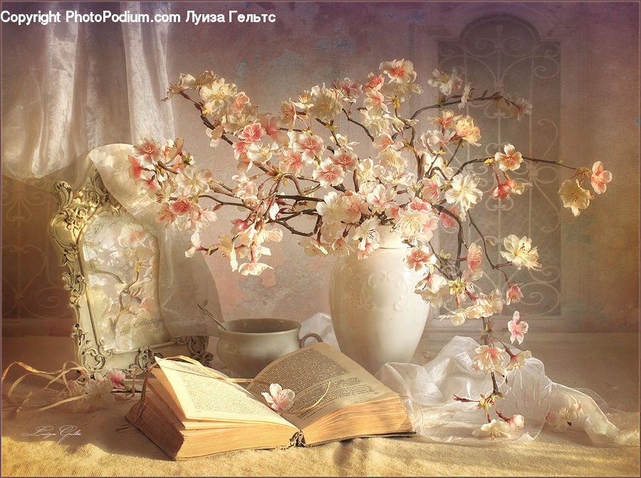 Book, Text, Plant, Potted Plant, Boutique, Shop, Window Display