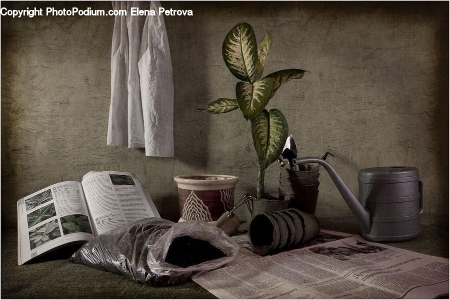Sink, Bowl, Pot, Pottery, Book, Text, Indoors