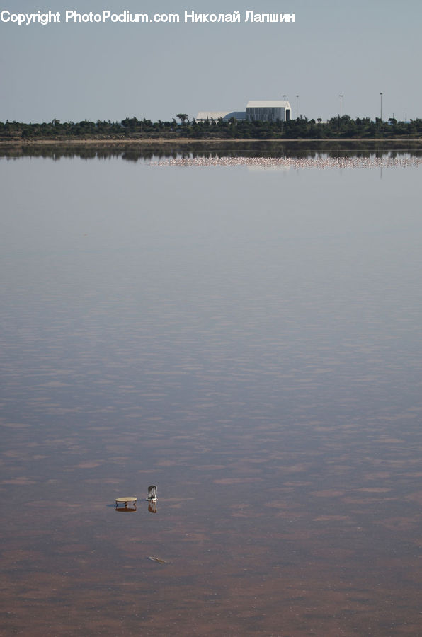 Land, Marsh, Outdoors, Swamp, Water, Sea, City