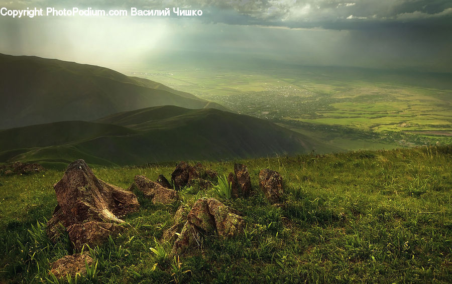 Field, Grass, Grassland, Land, Outdoors, Plateau, Plant
