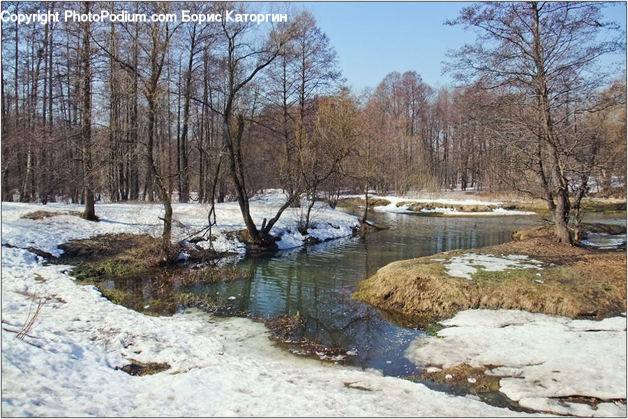 Creek, Outdoors, River, Water, Forest, Grove, Land