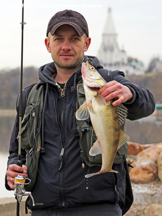 Human, People, Person, Fish, Sea Life, Trout, Bonito