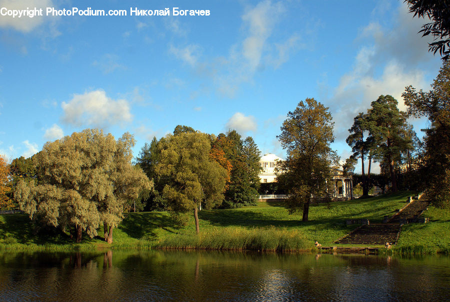 Outdoors, Pond, Water, Countryside, Plant, Tree, Landscape