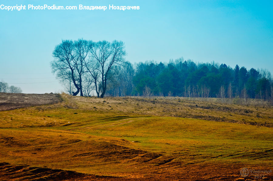 Field, Grass, Grassland, Land, Outdoors, Plant, Mound