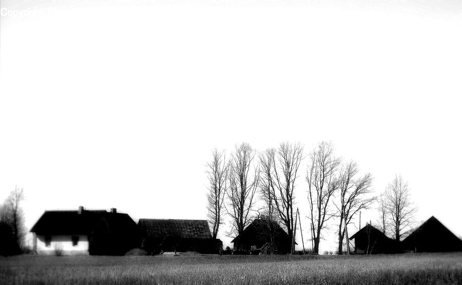 Countryside, Field, Rural, Building, Cottage, Housing, Outdoors