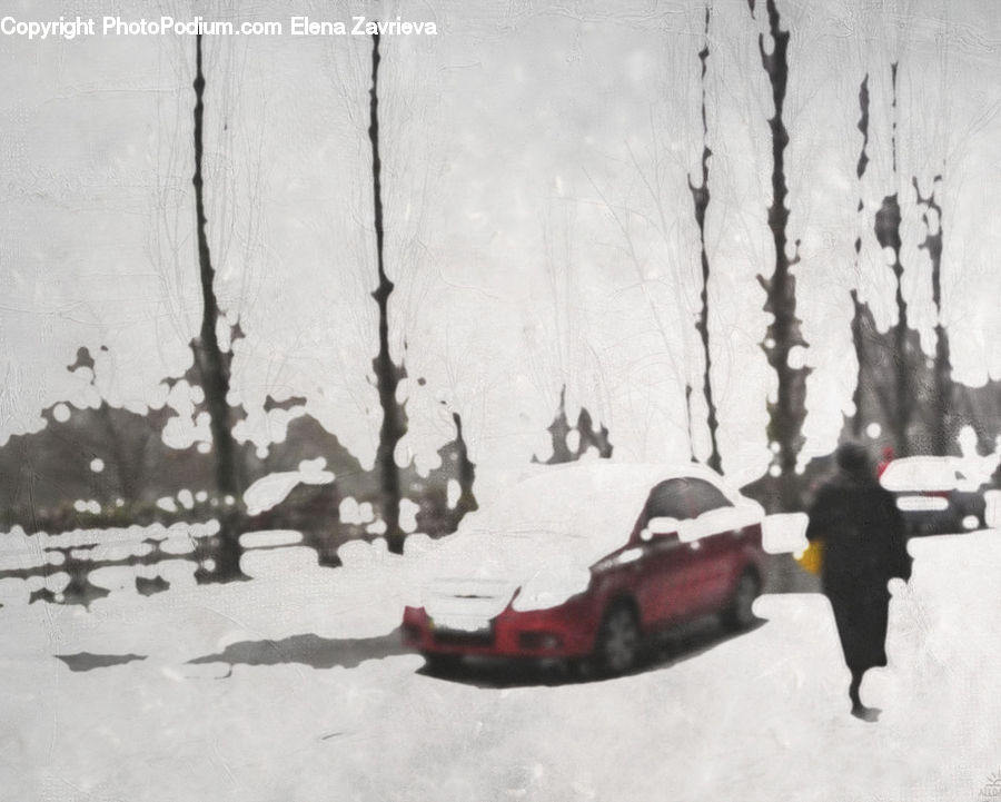 People, Person, Human, Ice, Outdoors, Snow, Art