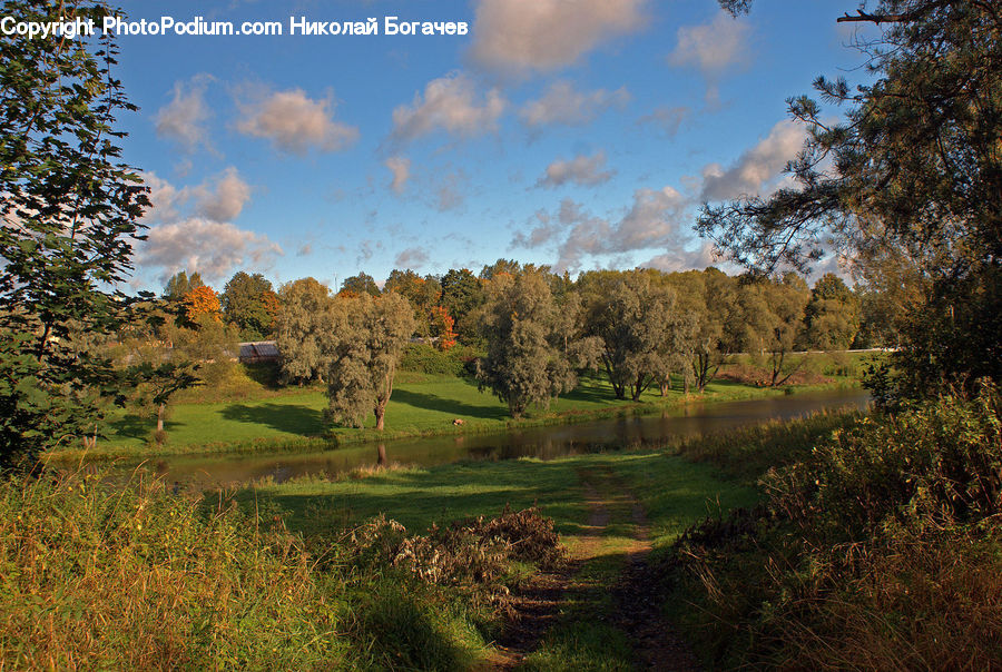 Golf Course, Grassland, Field, Grass, Land, Outdoors, Plant