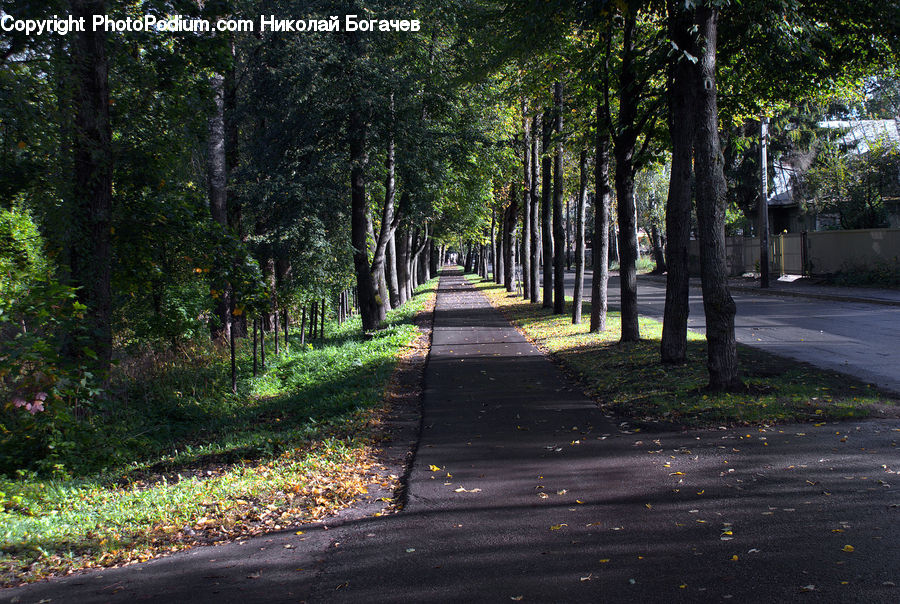 Dirt Road, Gravel, Road, Path, Walkway, Alley, Alleyway