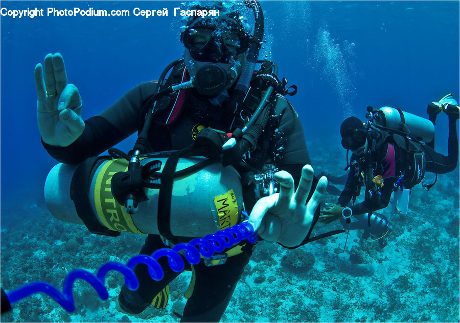Diver, Diving, Sport, Water, Person