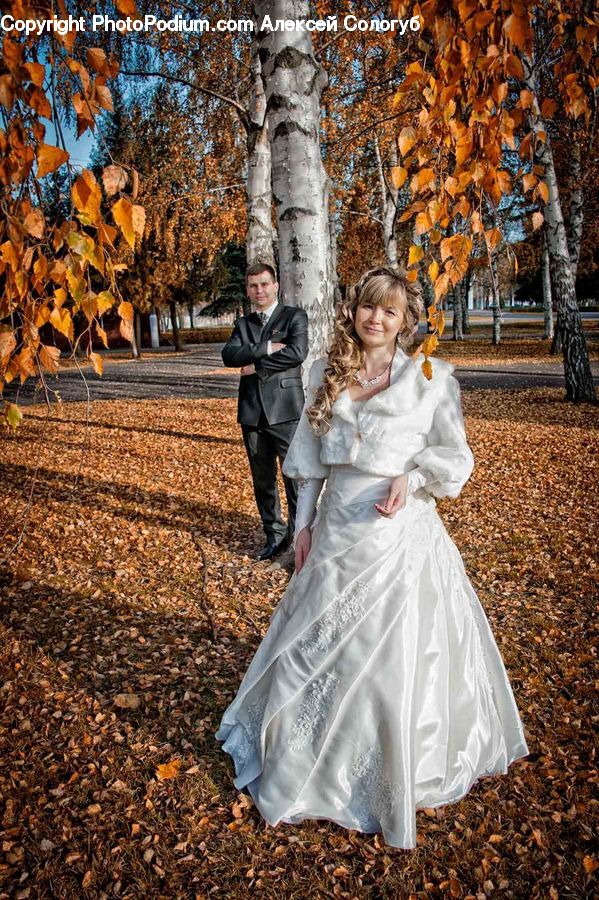 Birch, People, Person, Tree, Wood, Human, Clothing