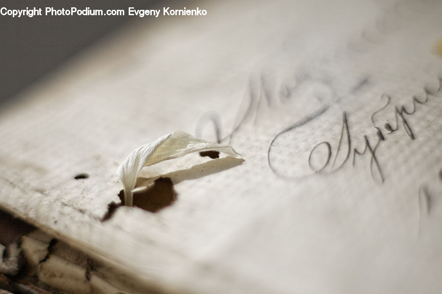 Diary, Text, Ice, Outdoors, Snow, Handwriting, Sand
