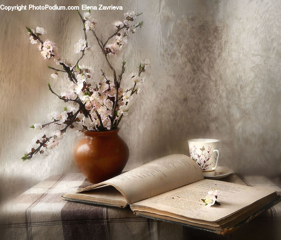 Flower Arrangement, Ikebana, Plant, Potted Plant, Vase, Pot, Pottery