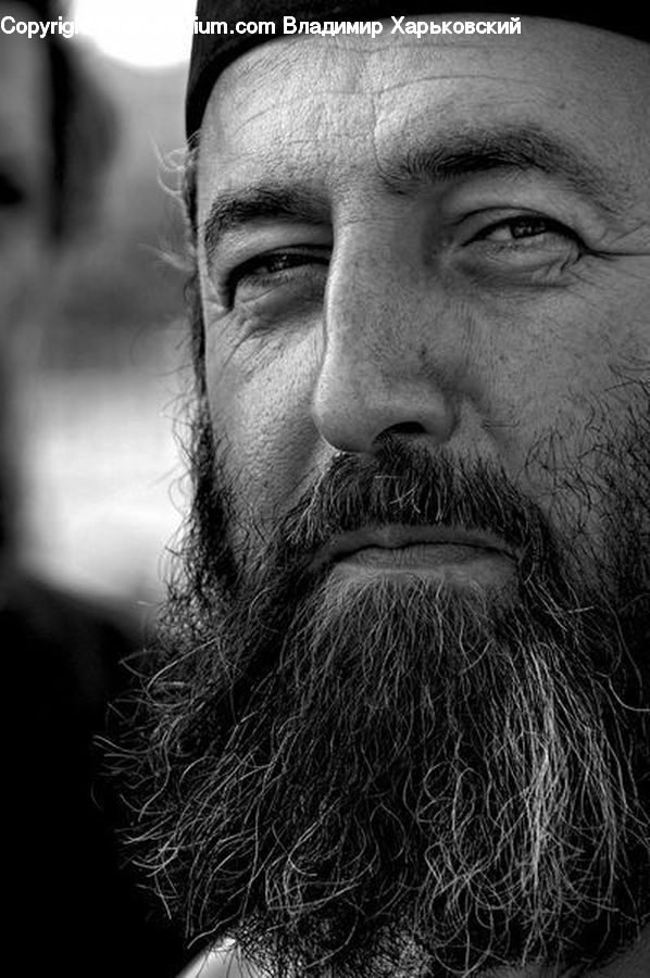 People, Person, Human, Beard, Hair, Portrait, Selfie