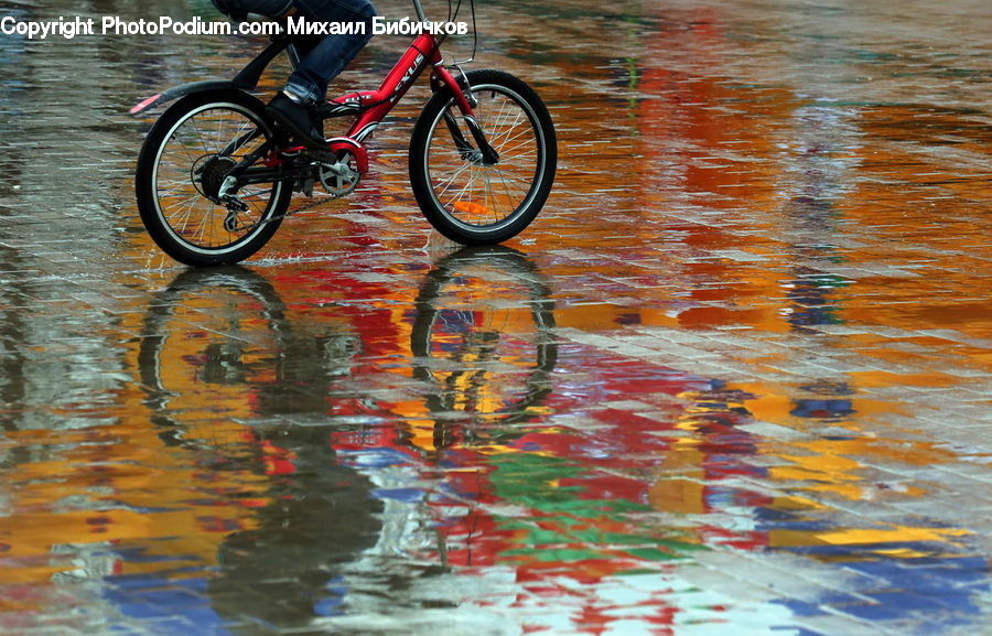 Bicycle, Bike, Vehicle, Water