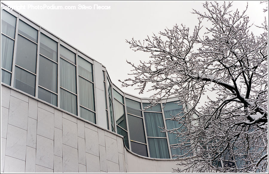 Building, Office Building, City, Downtown, Urban, Neighborhood, Town
