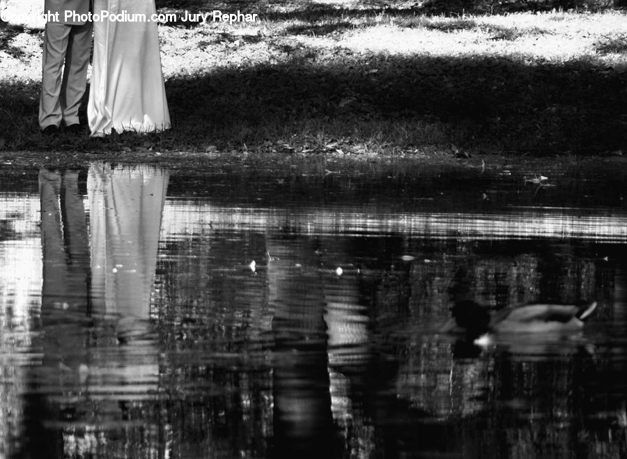 People, Person, Human, Outdoors, Ripple, Water