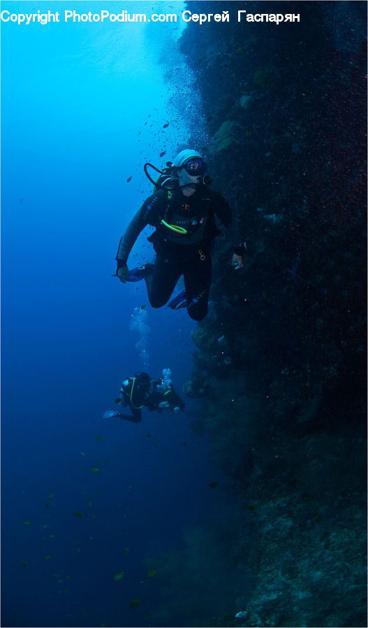 Diver, Diving, Sport, Water, Person