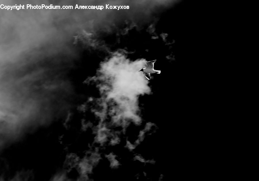 Smoke