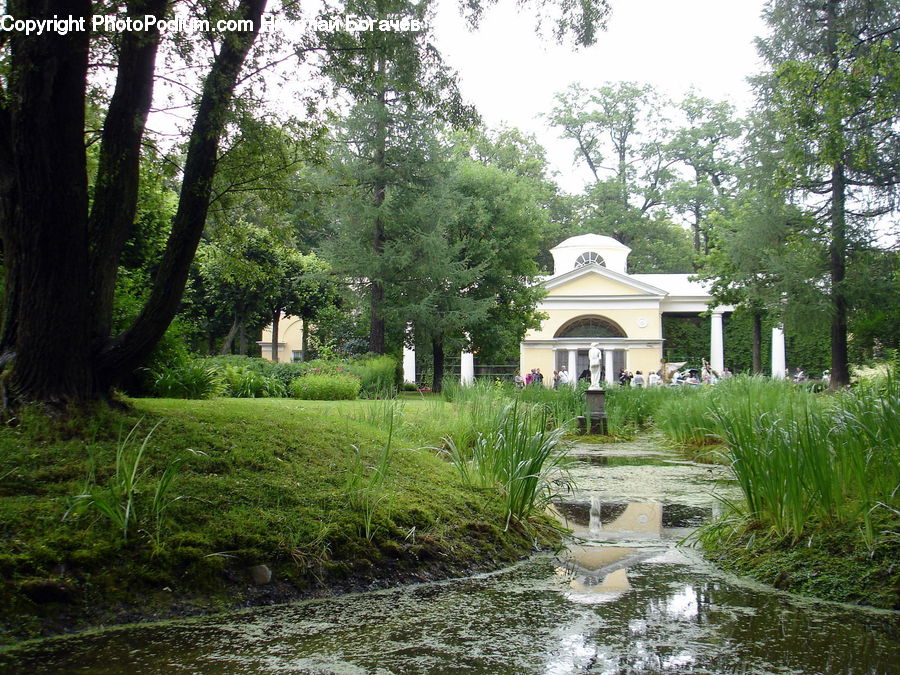 Outdoors, Pond, Water, Gazebo, Backyard, Yard, Blossom